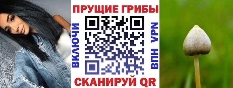 хочу   Кукмор  Галлюциногенные грибы мухоморы 